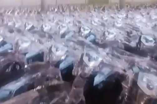 KPK Tegaskan Pengadaan Motor Listrik BGN Boleh Asal Sesuai Aturan, DPR Ungkap Kejanggalan