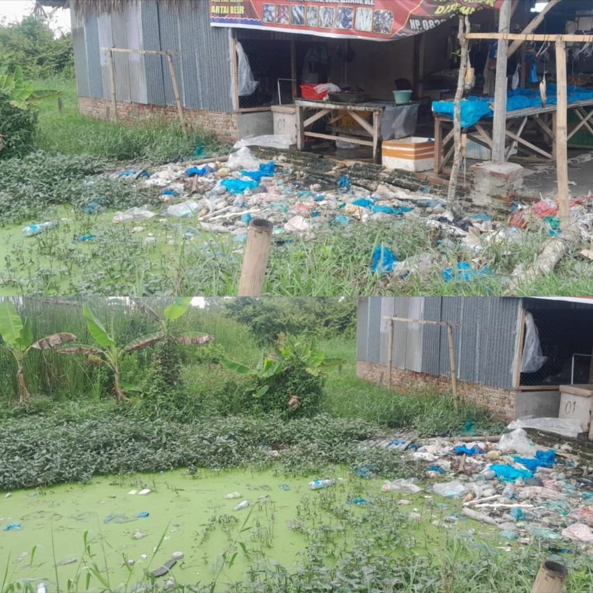 Diduga Buang Limbah ke Parit, Usaha Ayam Potong di Talawi Dikeluhkan Warga