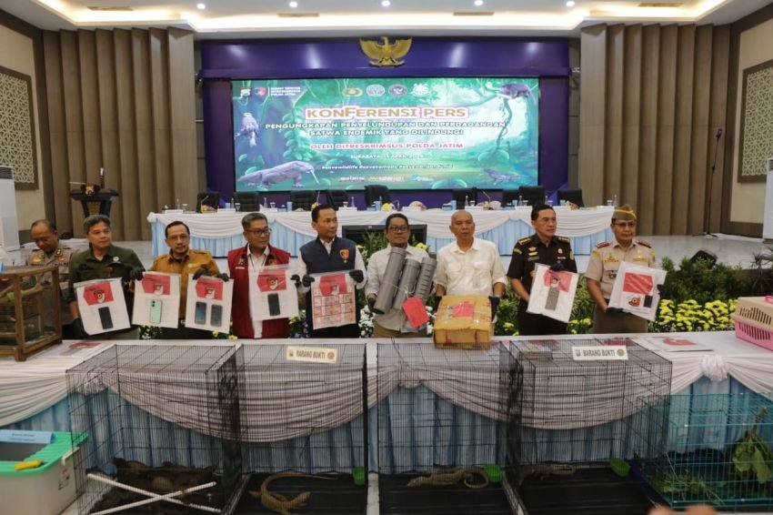 Polda Jatim Bongkar Sindikat Perdagangan Komodo ke Thailand, Raup Untung Hingga Rp 10 Miliar