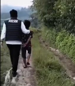 Polisi Gerebek Kebun Ganja di Hutan Lindung Karo, 75 Batang Tanaman Ditemukan dan 4 Orang Jadi Tersangka