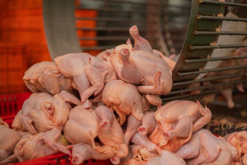 Harga Daging Ayam dan Sapi di Sumut Turun di Awal Pekan, Ini Daftar Lengkap Per Wilayah dan Penyebabnya