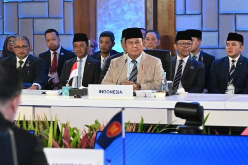 Prabowo Dorong Ketahanan Energi ASEAN, Targetkan PLTS 100 GW Rampung pada 2028