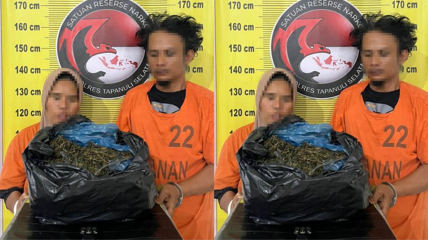 Siasat Licik Pengedar Ganja di Tapsel Terbongkar, Pakai Becak Motor untuk Kelabui Polisi