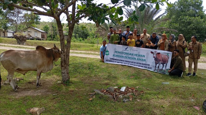 Dayah Wakaf Barbate Terima Sapi Kurban dari PT Bintang Toejoeh, Dukung Program CSR di Aceh Besar