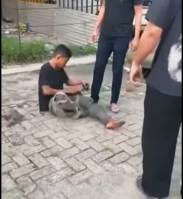 Viral Pengemis di Medan Diduga Lempari Mobil karena Tak Diberi Uang