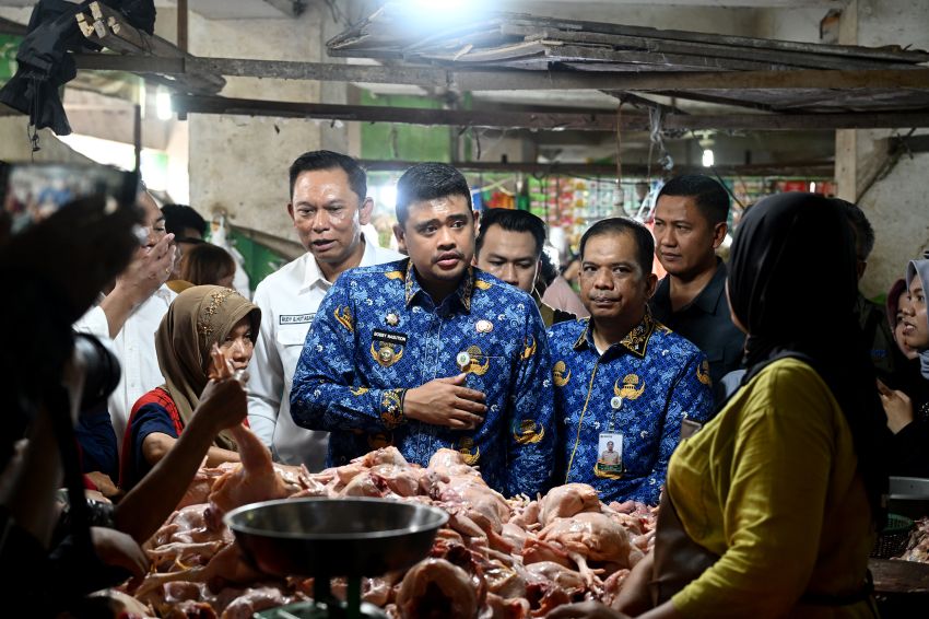 Pemprov Sumut Klaim Distribusi Minyakita Mulai Stabil, Stok Bulog Capai 100 Ribu Liter