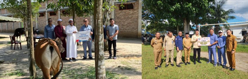 Sambut Idul Adha 1447 H, INALUM Salurkan 107 Hewan Kurban di Sumatera Utara