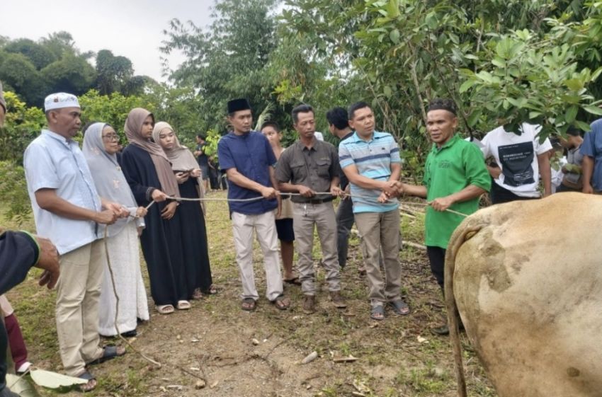 Warga Komplek Al Falah Pematangsiantar Sembelih 5 Ekor Sapi Kurban, Pererat Ukhuwah di Hari Iduladha