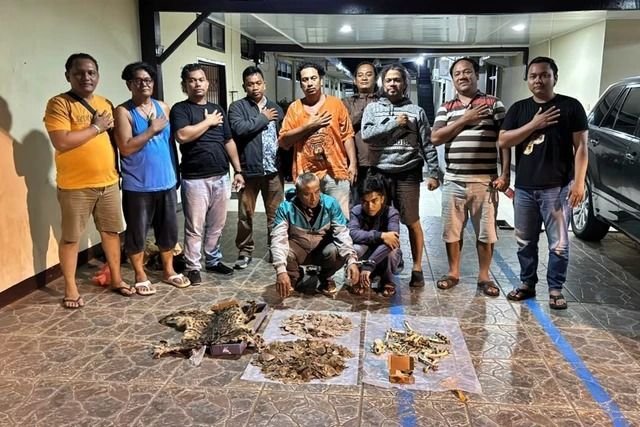 Polisi Bongkar Perdagangan Kulit Harimau Dahan dan Sisik Trenggiling di Padangsidimpuan
