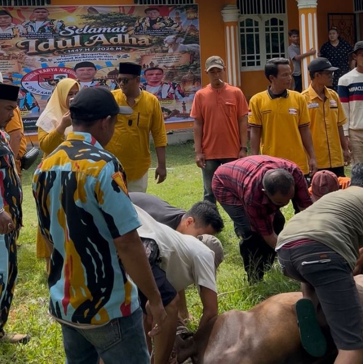 Rasyidin Pane Kurban Dua Sapi di Kantor DPC Hanura Langkat, Warga Ikut Terima Manfaat