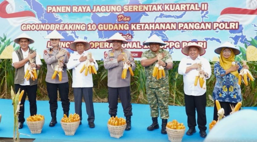 Wagub Sumut Hadiri Panen Raya Jagung Serentak di Deli Serdang