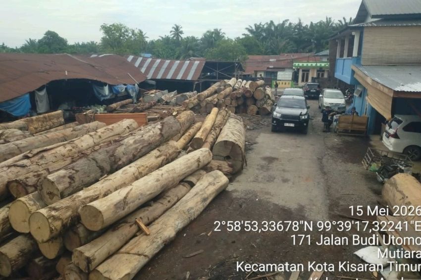 Gakkum Kehutanan Temukan 1.677 Kayu Hasil Pembalakan Liar di Asahan, Lima Perusahaan Diselidiki