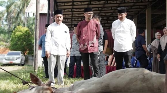 Pemkab Labusel Sembelih 56 Hewan Kurban Iduladha 1447 H, Daging Dibagikan ke ASN dan Warga