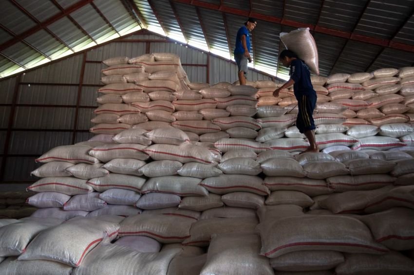 RI Hentikan Impor Beras, Pemerintah Klaim Harga Pangan Dunia Ikut Mengalami Penurunan