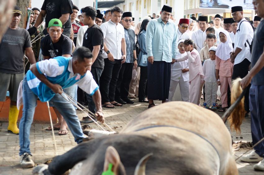 Bobby Nasution Salat Iduladha di Binjai, Salurkan 167 Hewan Kurban di Sumut