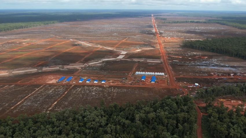 Hutan Papua Dibuka 2,5 Juta Hektar, Yorrys Raweyai: Eksploitasi Sudah Terjadi Sejak Lama
