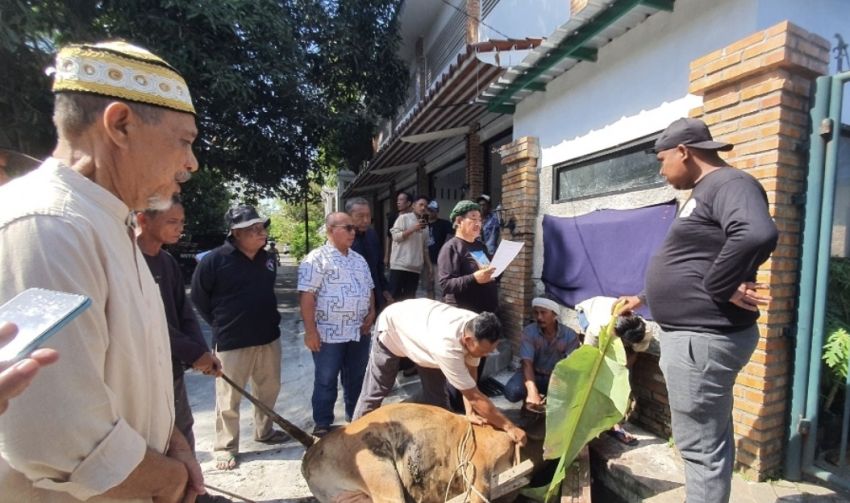 Hari Kedua Idul Adha, PB MABMI Sembelih 4 Sapi dan 6 Kambing di Medan