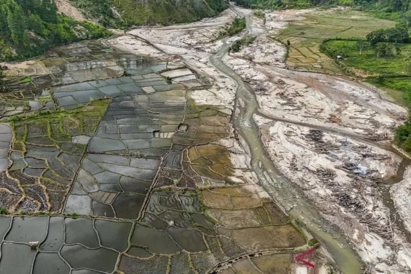 Ribuan Hektare Sawah Terdampak Bencana di Sumatera Mulai Pulih, Pemerintah Percepat Rehabilitasi Lahan Pertanian