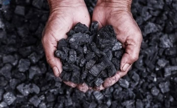 Harga Batu Bara Melonjak! Strategi India Ini Jadi Pemicu Utama