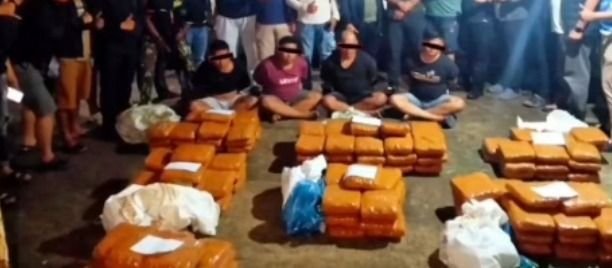 150 Kilogram Ganja dari Mandailing Natal Disergap di Agam, BNNP Sumbar Tangkap 4 Pelaku