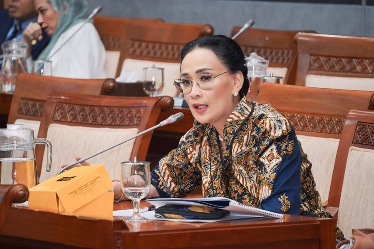 DPR Desak Pemerintah Tak Diam Soal WNI di Kapal Kemanusiaan yang Ditahan Israel