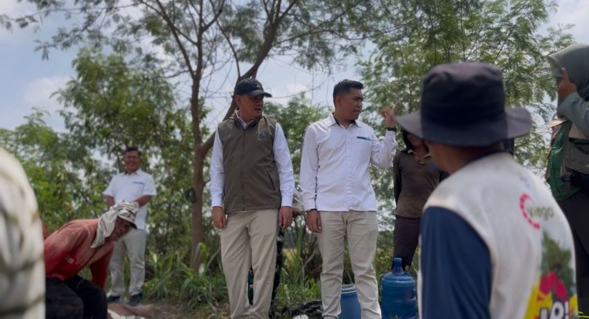 Tertinggi dalam Sejarah Pengadaan Pangan Nasional! BULOG Serap 3 Juta Ton Gabah dan Beras Petani, Sumut Serap Hampir 15 Ribu Ton