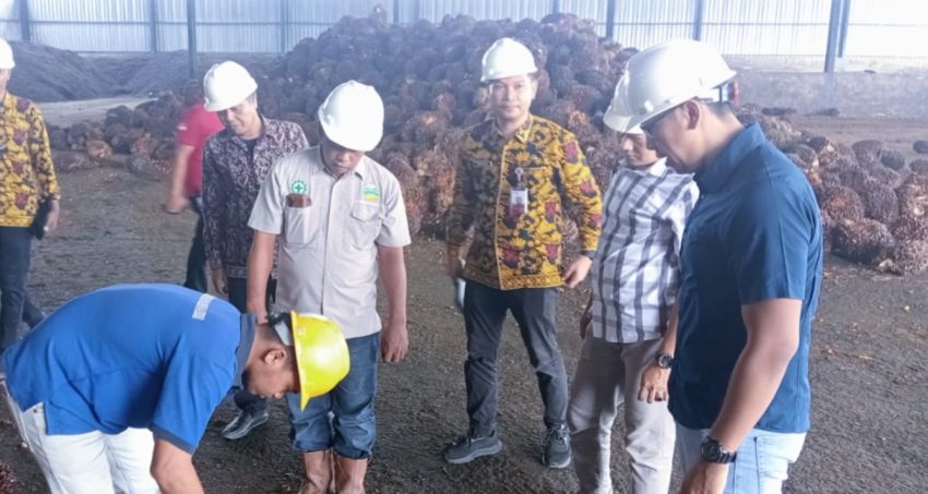 PKS SGAM Jelaskan Alasan Harga TBS Sawit Tidak Selalu Sama dengan Daerah Lain