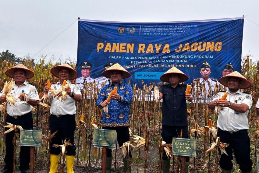 Panen Raya Jagung Lapas Labuhan Ruku, Wujud Nyata Dukung Ketahanan Pangan Nasional