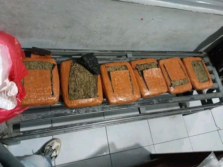 Enam Kilogram Ganja Ditemukan di Lapas Padangsidimpuan, Empat Napi Narkoba Jadi Tersangka