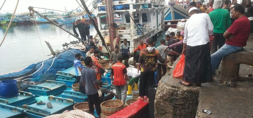 Pelabuhan Lam Pulo Ramai Sejak Fajar, Ribuan Warga Gantungkan Hidup dari Aktivitas Perikanan