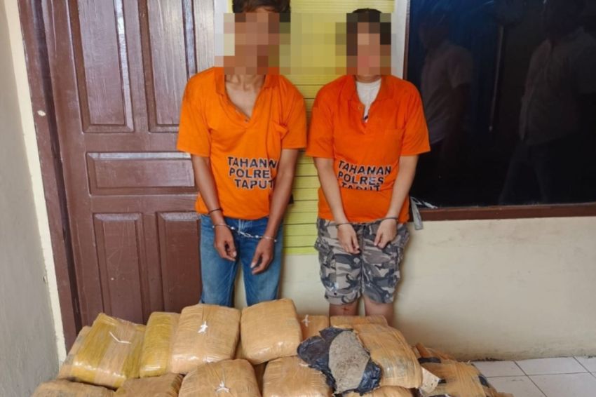 Mobil Ringsek Usai Tabrak Truk di Taput, Polisi Temukan Ratusan Paket Ganja di Dalamnya