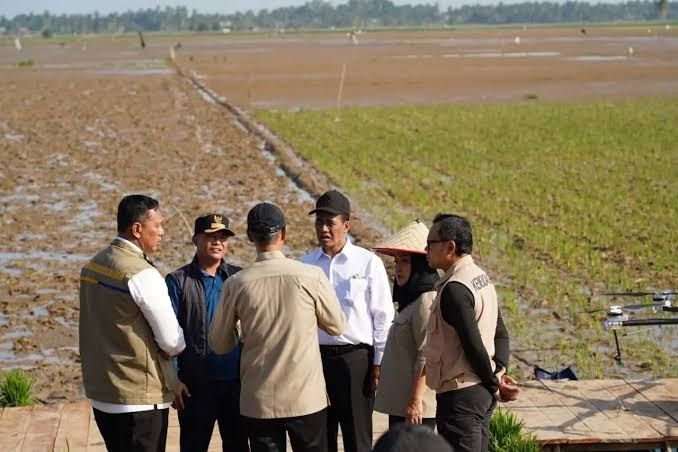 Renduk Pascabencana Bawa Harapan Baru bagi Petani dan Ketahanan Pangan Berkelanjutan