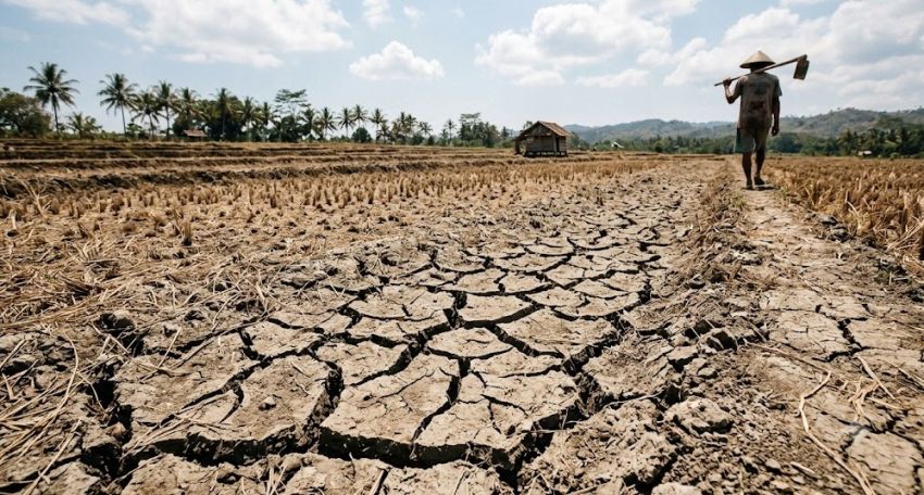 Meski Musim Kemarau dan El Nino Mengintai, Bapanas Jamin Stok Pangan Nasional Aman