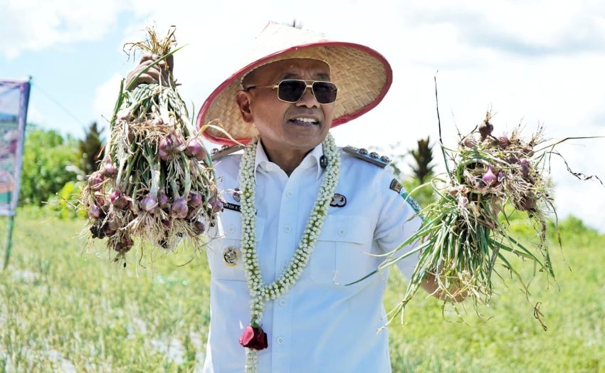 Bupati Simalungun Anton Achmad Saragih Dorong Pertanian Modern, Serahkan Alsintan dan Panen Raya Bawang Merah di Bah Bolon