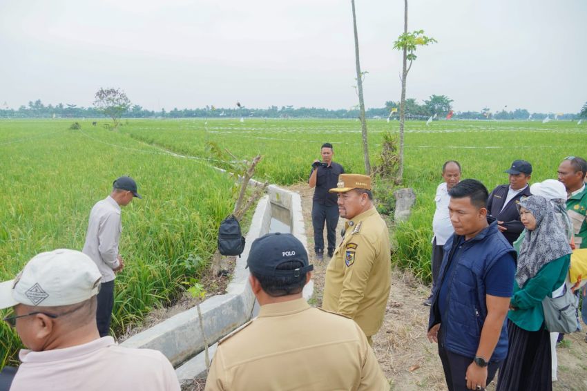 Dorong Penerapan Pertanian Modern, Bupati Batu Bara Tinjau Persawahan PM-AAS di Desa Suka Raja