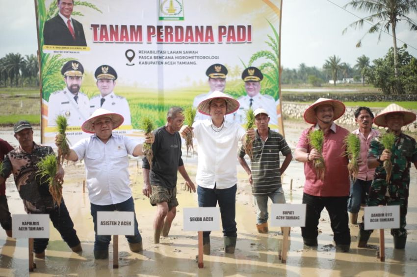 Sekda Aceh Pimpin Tanam Padi Perdana Pascabencana, Tegaskan Stabilitas Pangan Harus Tetap Aman
