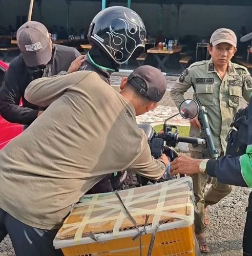 Siamang Diselundupkan dalam Keranjang Roti di Binjai, Polisi Kehutanan Tetapkan Satu Tersangka