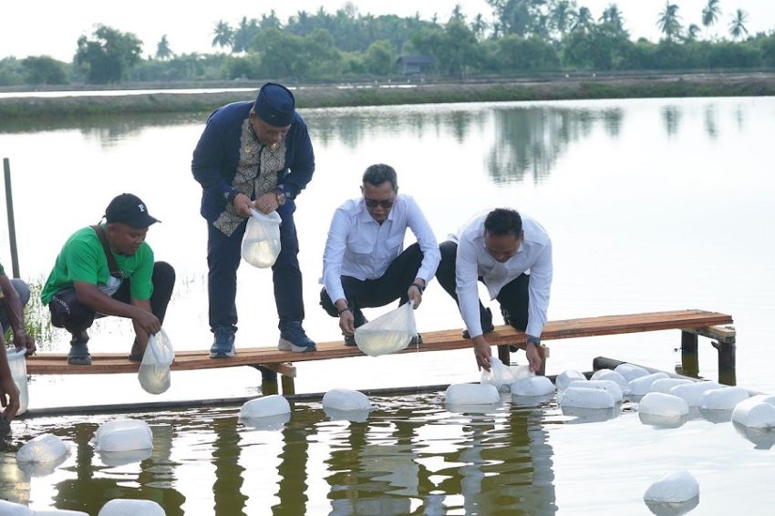 Satgas PRR Pacu Kebangkitan Ekonomi Aceh, Tambak dan Kopi Gayo Jadi Motor Pemulihan