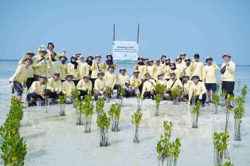 PHI Tanam 1.500 Mangrove dan Lamun di Pulau Pari, Perkuat Ketahanan Pesisir Indonesia