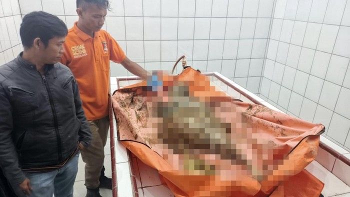 Kerangka Manusia Ditemukan di Tapteng, Diduga Korban Banjir dan Longsor 2025, Polisi Buka Identifikasi