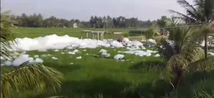 Viral Buih Mirip Salju Penuhi Sungai Percut, DLH Deli Serdang Selidiki Dugaan Limbah