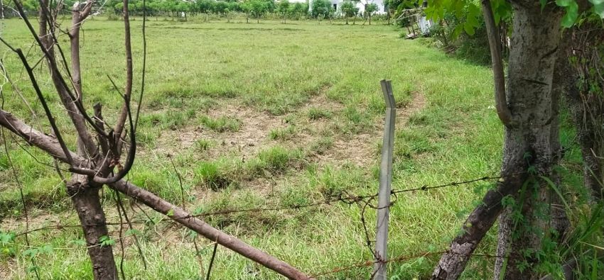 Kemarau Melanda Aceh Besar, Sumur Warga Mulai Kering dan Pasokan Air PDAM Tirta Montala Tersendat