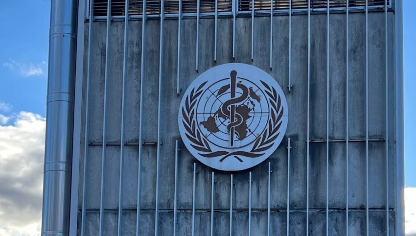 WHO Peringatkan Kasus Kanker Dunia Bisa Tembus 35 Juta per Tahun pada 2050