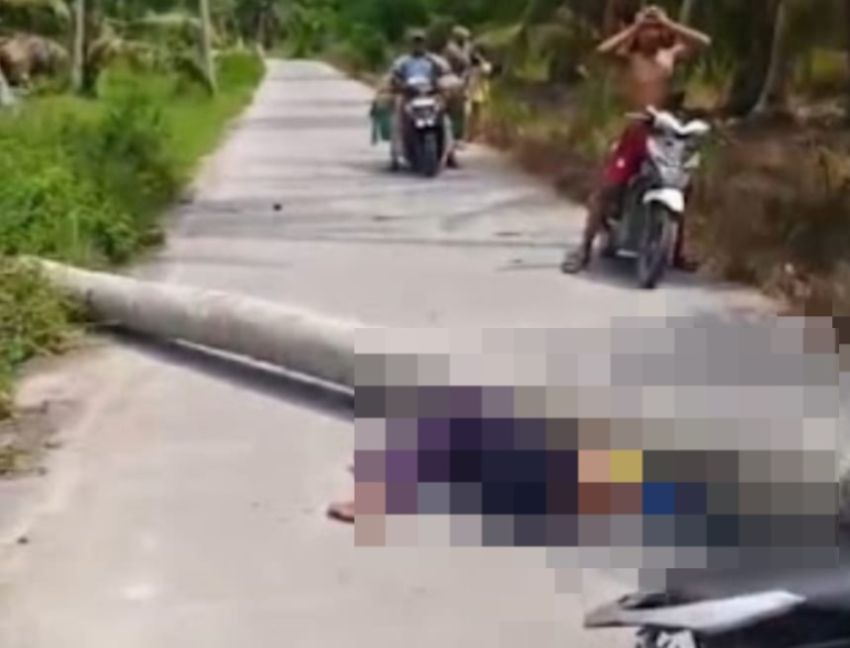 Tragis! Bocah 13 Tahun Tewas Tertimpa Pohon Kelapa Tumbang di Nibung Hangus Batu Bara