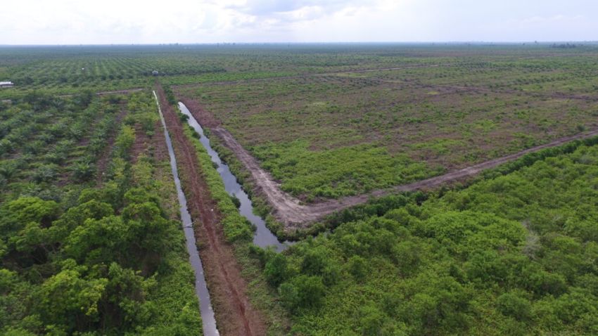 Indonesia Bagikan Strategi Pengelolaan Gambut Berbasis Data di Forum Internasional Peru