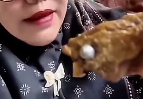 Heboh! Benda Mirip Peluru Ditemukan dalam Daging MBG di Lampung Utara, Polisi Selidiki Asal-usulnya