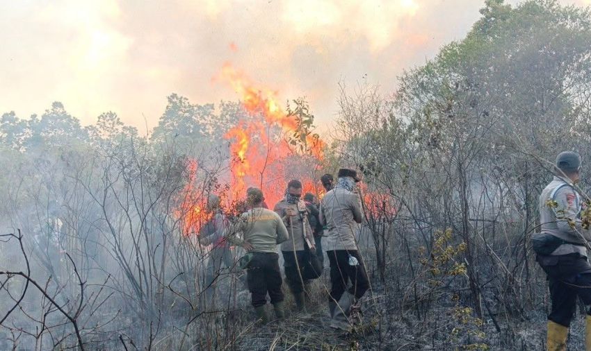 673 Hektare TN Way Kambas Terbakar, Bagaimana Nasib Gajah Sumatera di Sana?
