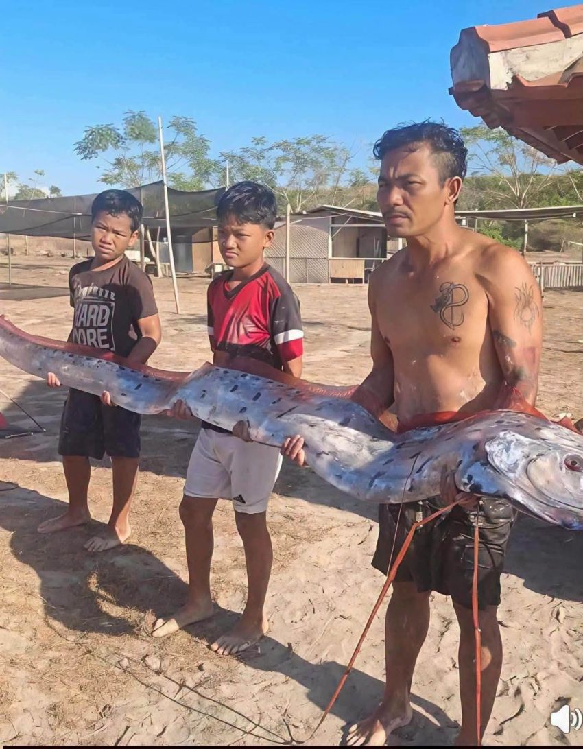 Bentuknya Aneh Mirip Samurai, Ikan 'Kiamat' Sepanjang 4 Meter Terdampar Mati di Pantai Pink Lombok