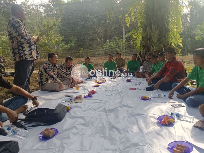 MPM PWM Sumut Buka Pelatihan Penanaman Cabai di Langkat