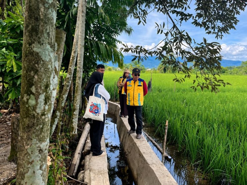 Sawah Rusak 57 Ribu Hektare di Aceh, Nagan Raya Kejar Waktu Pulihkan Lahan sebelum Musim Tanam